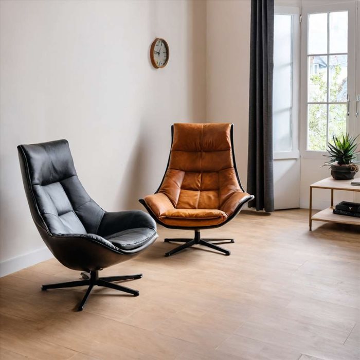 Nettoyer un Fauteuil en Cuir