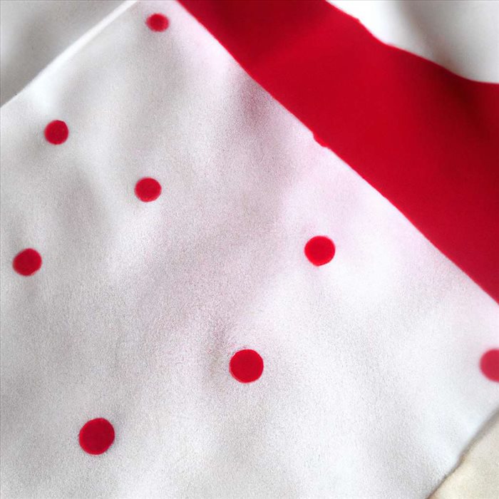 Éliminer Une Tache de Sang